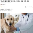 펫보험 활성화 본격 '시동'…진료비 부담 완화 기대 이미지