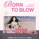 보다나 쿠키뉴스