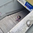 7월(1) 비 그만 와요. ☔️