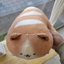 바겟뜰 이미지