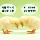 덕신로 이미지