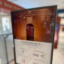 PRIMAIRE | 레 조 프리모디알 팝업 후기