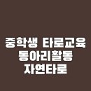 중학생 동아리 타로교육 이미지