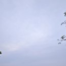 황혼농장 Daum카페
