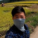 솔미민박 이미지