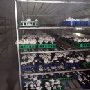 햇살영농조합법인 이미지