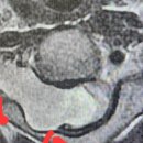 전병찬신경외과의원 이미지