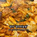 양지리 | 🔥 양지리농원｜양지 닭갈비 맛집 방문 후기(내돈내산)