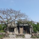 (주)칸여행사 네이버블로그