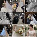 아이폰스냅, 크루아스냅 계약후기 짝꿍 구해요!(+유어마이뮤즈, 히어유어스냅, 트와에무아스냅, 니어...