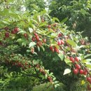 동혜농장 이미지