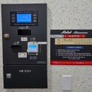 블루문호텔 | 동해 신상호텔 블루문 내돈내산 솔직 이용후기