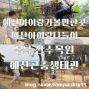 봉수산수목원 공중화장실 | 예산아이랑가볼만한곳 예산아이랑실내 봉수산수목원곤충생태관