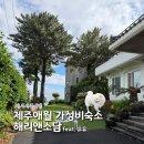 제주 애월펜션 추천, 반려견과 함께 다녀온 대만족 가성비 숙소 '해리앤소담' 방문후기