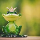 마법에 걸린 개구리왕자 이미지