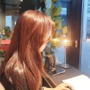 동아미용실 이미지