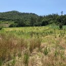 신덕리 ~ 인지리 이미지