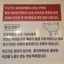쫑구곱창