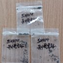 똥그랑땡님 '드리미아 유니플로라' 잘 받았습니다. 이미지