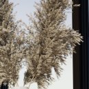 당진한의원 이미지