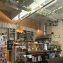 양말코히 이미지