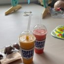 [가산/가디]가산 수박주스 맛집 추천! 커피사피엔스 가산어반워크점 재방문 후기