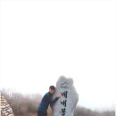 영남알프스 하늘 억새길 간월산 (배내고개~배내봉~간월산~간월재~임도길~홍류폭포~간월산장~주차장(9.7k...