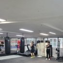 팀건복싱 이미지