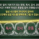 나의 0.1 단계 실행 복기 및 천재 컨설턴트 영입하기(원씽 메이커 모임 후기)