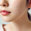 재미진365 | 수부지 민감성 피부가 겨울에도 편해진 이유: 에스트라 아토베리어 365 크림 사용 후기