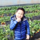 규현농장 이미지