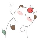 에일린뷰티 이미지