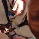 천전초병설유치원 이미지