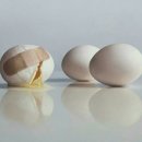 행복나눔지역사회서비스센터 Daum카페