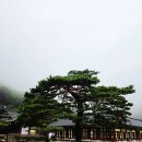 위봉사&위봉폭포&위봉산성 | 전북 가볼만한곳 완주 위봉사 BTS 촬영지 위봉산성 여행 후기