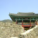 금성문