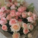 꽃부티크 플로버 이미지