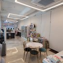 고양이 미용 미오 이미지