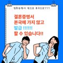 해냄행정사사무소 이미지