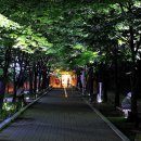 공지천 에디오피아 이미지