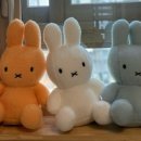 퍼니랜드(사당점) 이미지