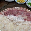 카페도란 - 파주시 새오리로 237 | 카페도란
