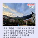 매일양식2