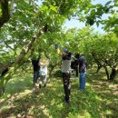 성송면사무소 이미지