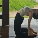 유람스테이 | 여행 / 고집돌우럭,스테이어라이브, 애월7일 바당요가...소문, 하피바라클럽, 유람위드북스 / 제주서쪽...