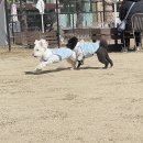 골드게임장 이미지