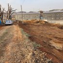 어미들 농장 이미지