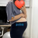 29-31주차 :: 임신 후기 이모저모 :: 아기를 맞이하기 위한 준비들 :: 이대서울병원 정기검진 :: 일산...