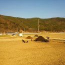 개경포기념공원 이미지