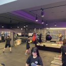 Like Fit 이미지